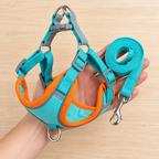 🐕 Outdoor Essential | Soft Nylon Comfort Fit | Everyday Walking Adventure