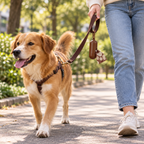 🐾 Pet Care Essential | Leak-Proof Waste Bag Convenience | Everyday Walking Companion
