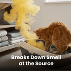 Whole-Home Pet Odor Eliminator – No Sprays, No Filters, No Refills | 70% OFF