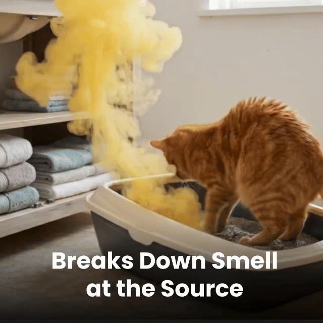 Whole-Home Pet Odor Eliminator – No Sprays, No Filters, No Refills | 70% OFF