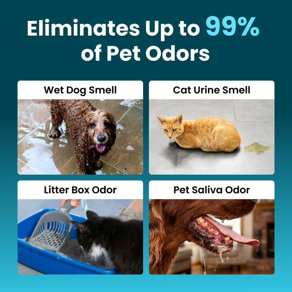 Whole-Home Pet Odor Eliminator – No Sprays, No Filters, No Refills | 70% OFF
