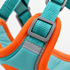🐕 Outdoor Essential | Soft Nylon Comfort Fit | Everyday Walking Adventure